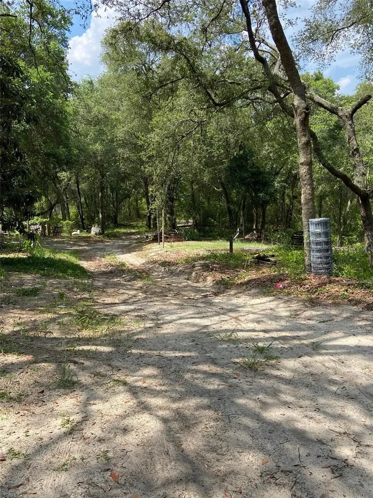16137 SE 34th Place Ocklawaha FL 32179