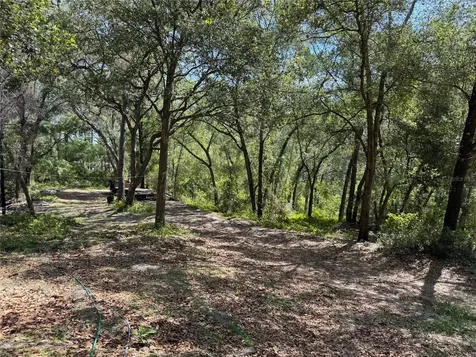 16137 SE 34th Place Ocklawaha FL 32179
