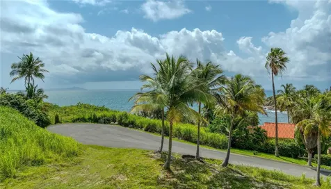 37 Shell Castle Humacao PR 00791
