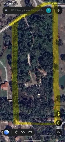 7152 Sandy Lane Wesley Chapel FL 33544