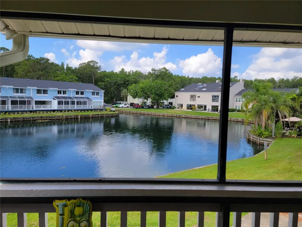 1865 Mazo Manor Lutz FL 33558