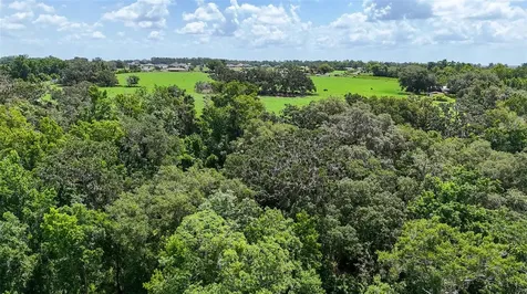 14435 Curley Road Dade City FL 33525