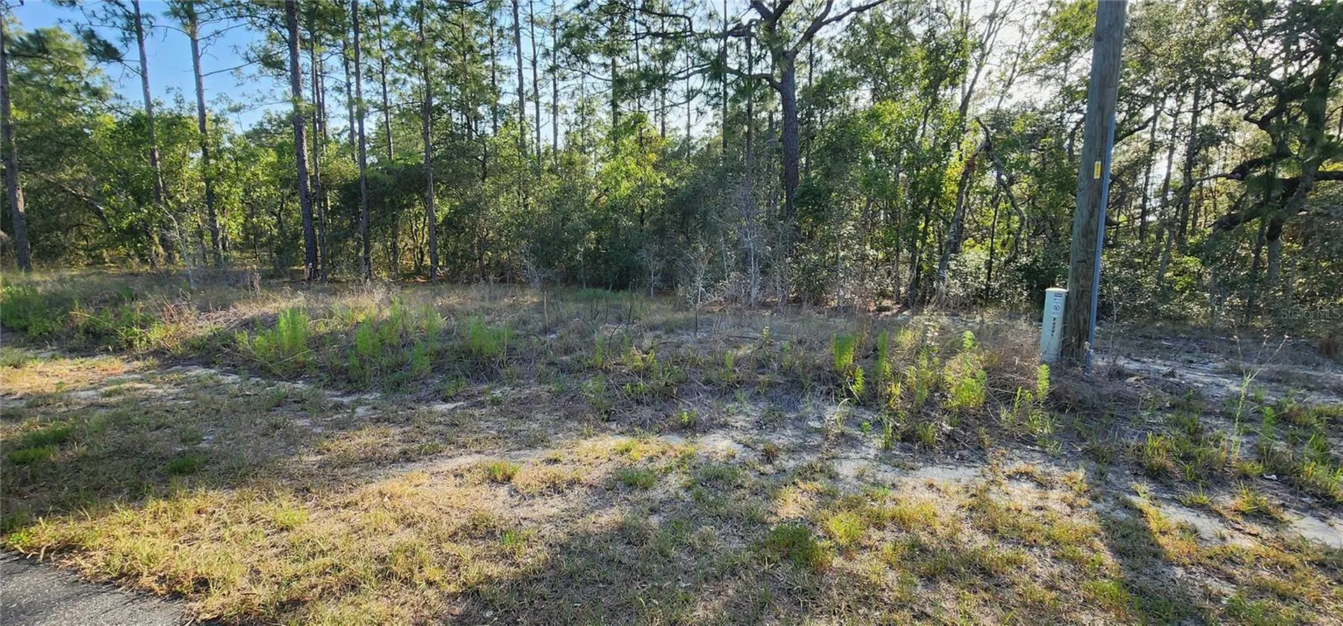Lots 6 And 7 SW Hillcrest Avenue Dunnellon FL 34431