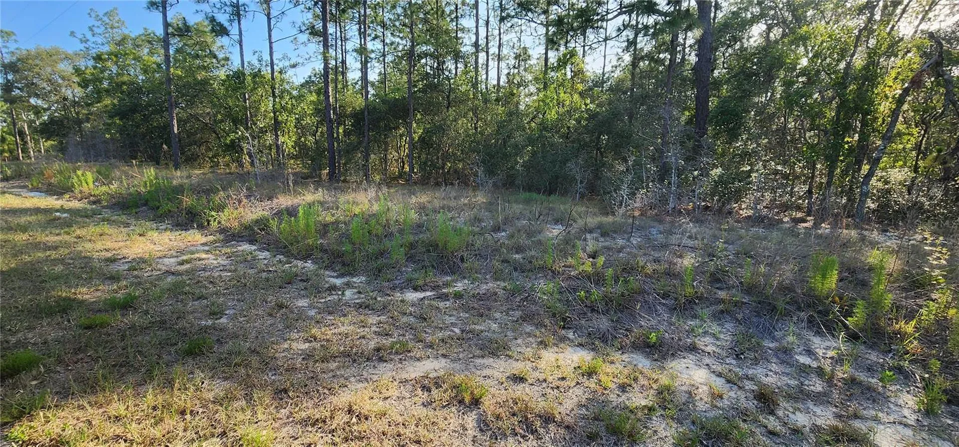Lots 6 And 7 SW Hillcrest Avenue Dunnellon FL 34431