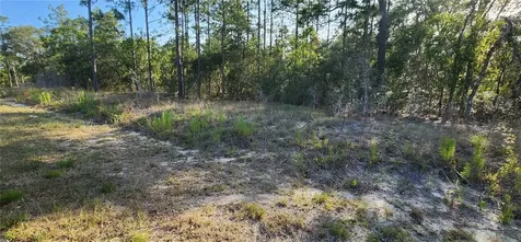 Lots 6 And 7 SW Hillcrest Avenue Dunnellon FL 34431