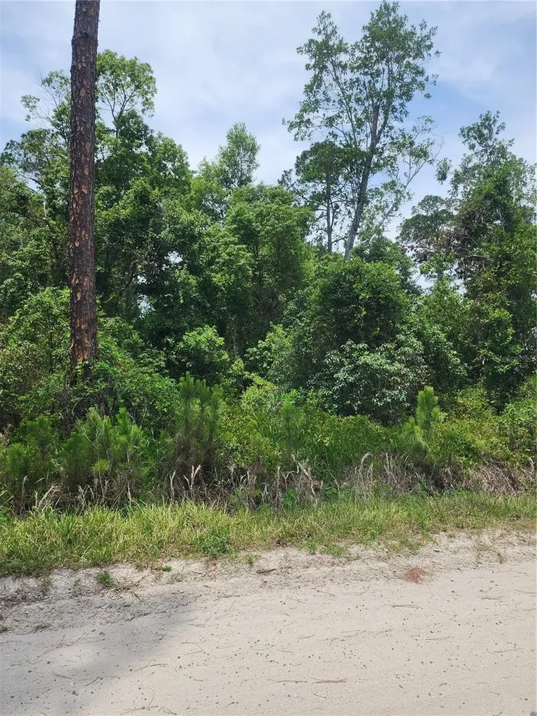 11 Th Avenue Deland FL 32724