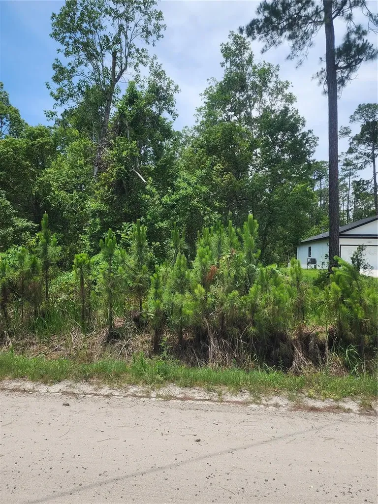 11 Th Avenue Deland FL 32724