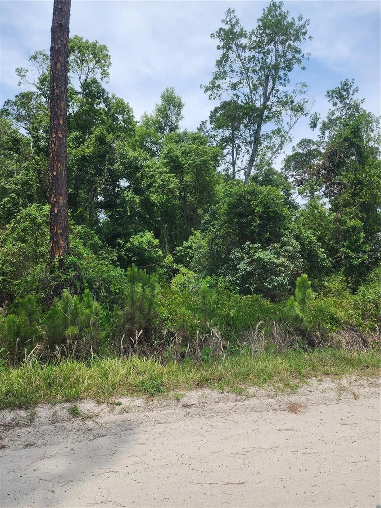 11 Th Avenue Deland FL 32724