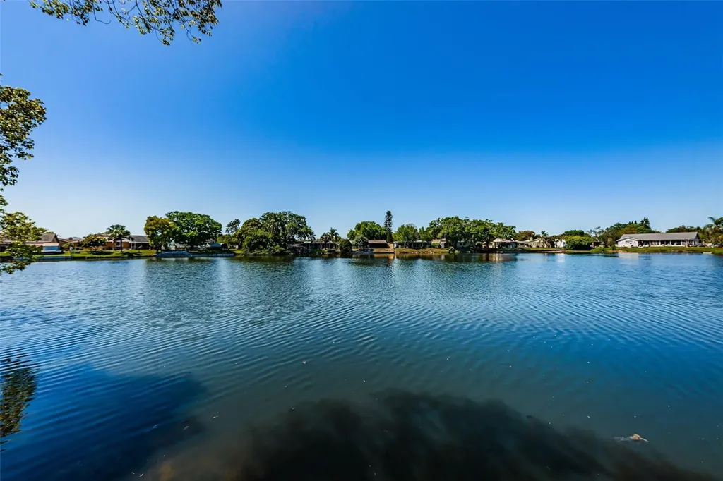 3838 Lanyard Court New Port Richey FL 34652