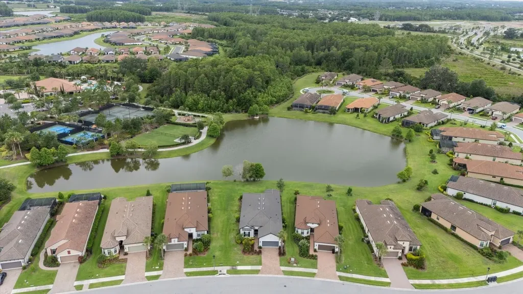 11398 Juglans Drive Odessa FL 33556