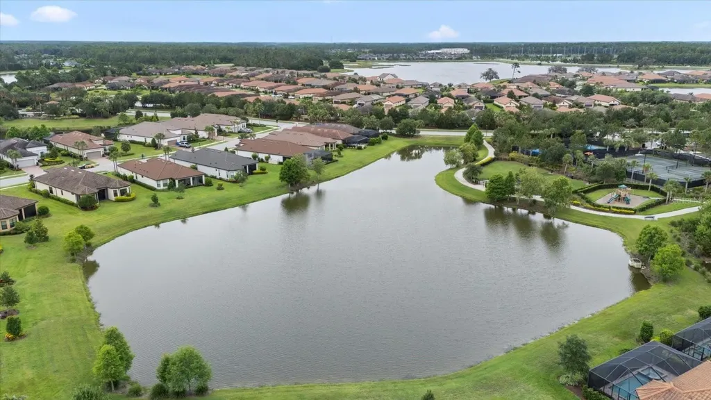 11398 Juglans Drive Odessa FL 33556