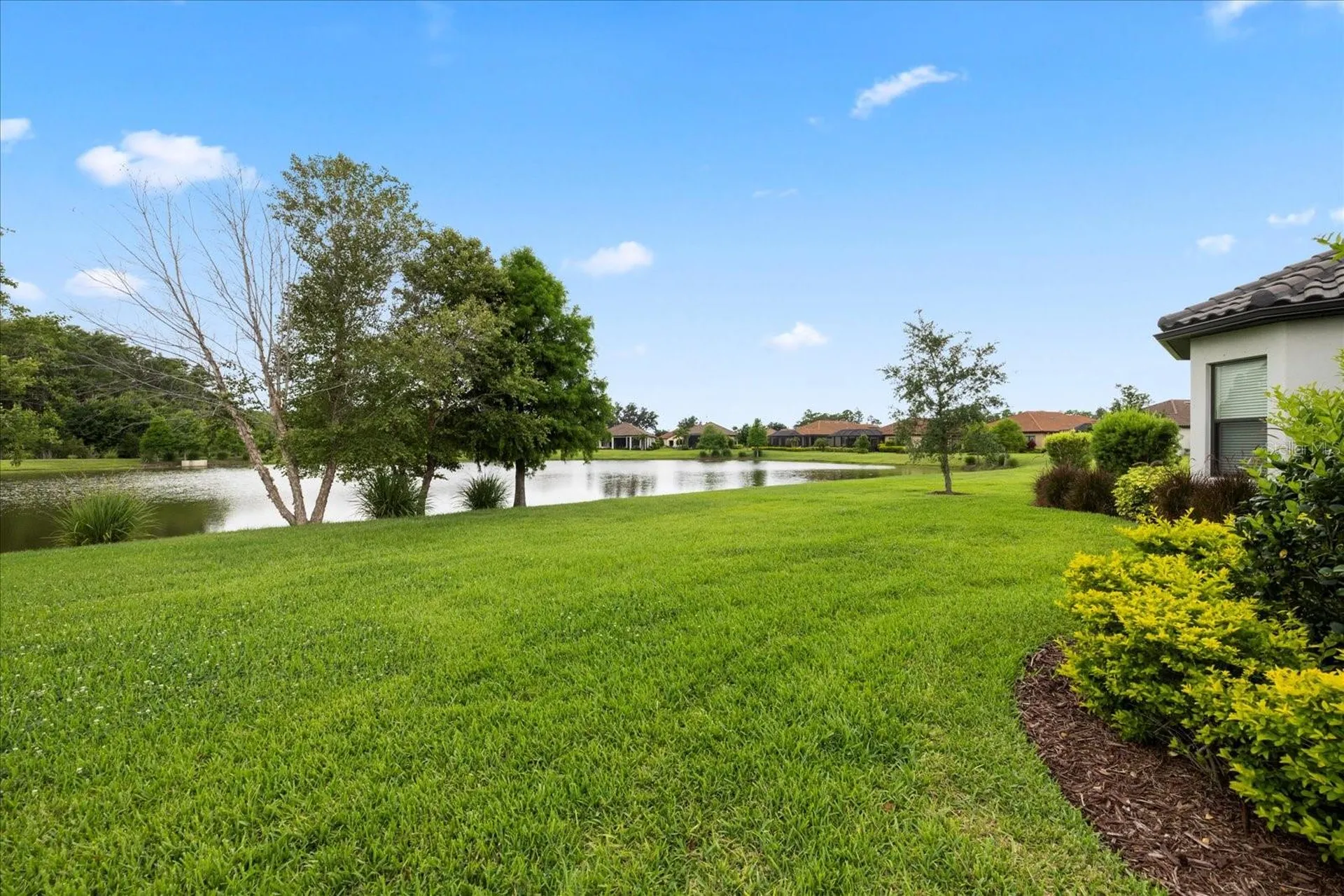 11398 Juglans Drive Odessa FL 33556