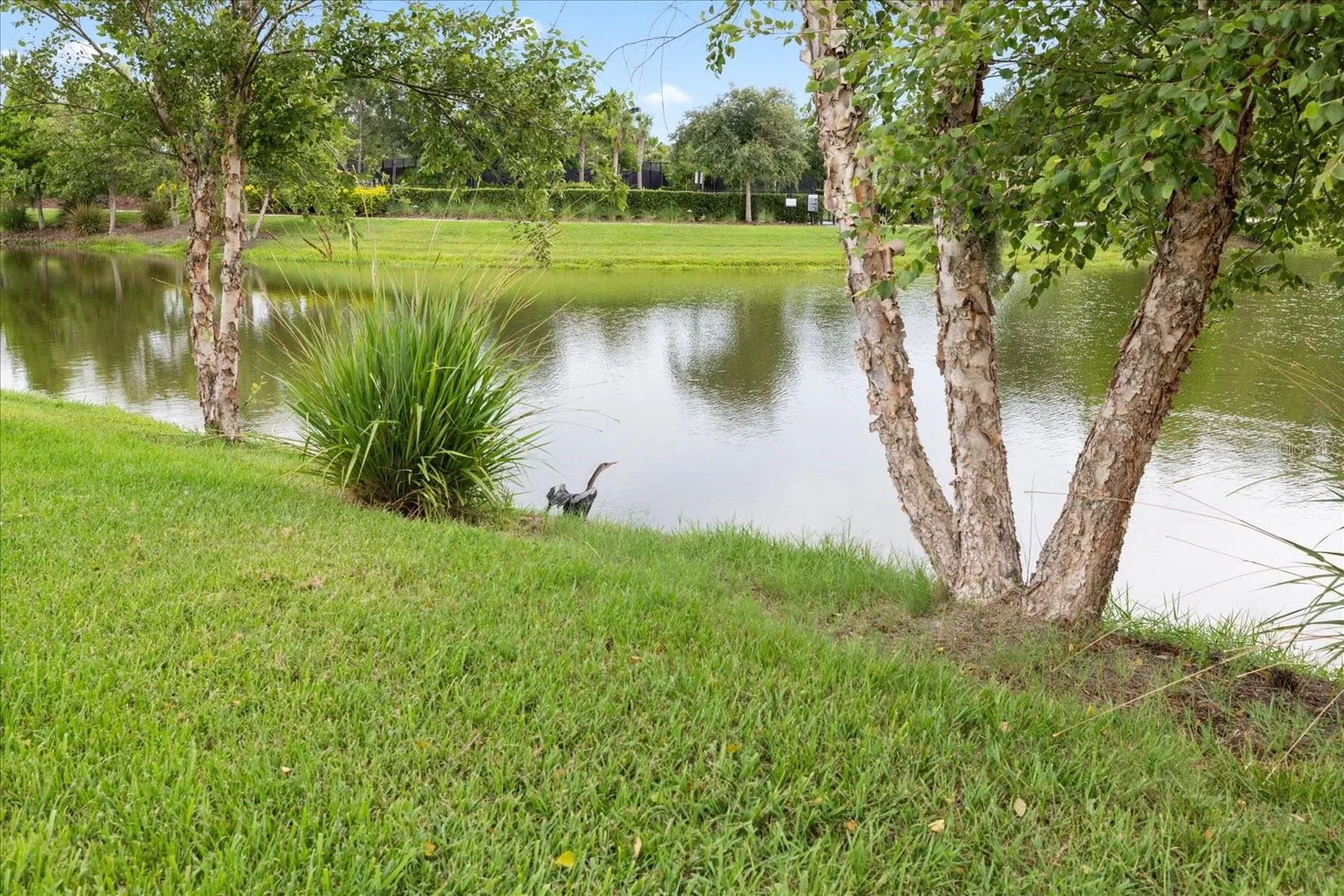 11398 Juglans Drive Odessa FL 33556