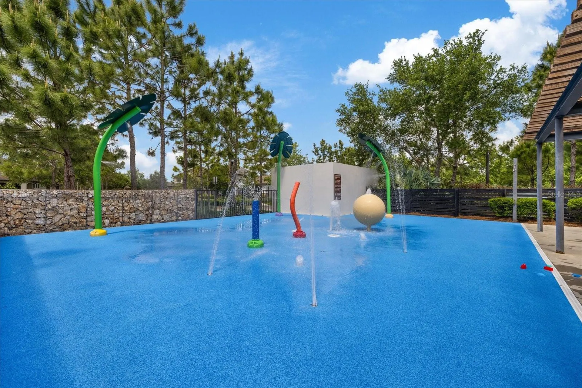 11398 Juglans Drive Odessa FL 33556