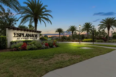 11398 Juglans Drive Odessa FL 33556