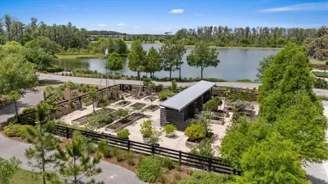 11398 Juglans Drive Odessa FL 33556