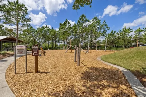 11398 Juglans Drive Odessa FL 33556