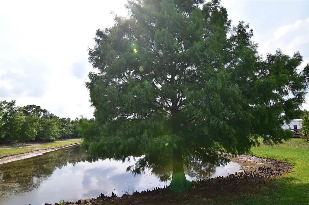 4180 Sugar Palm Terrace Oviedo FL 32765