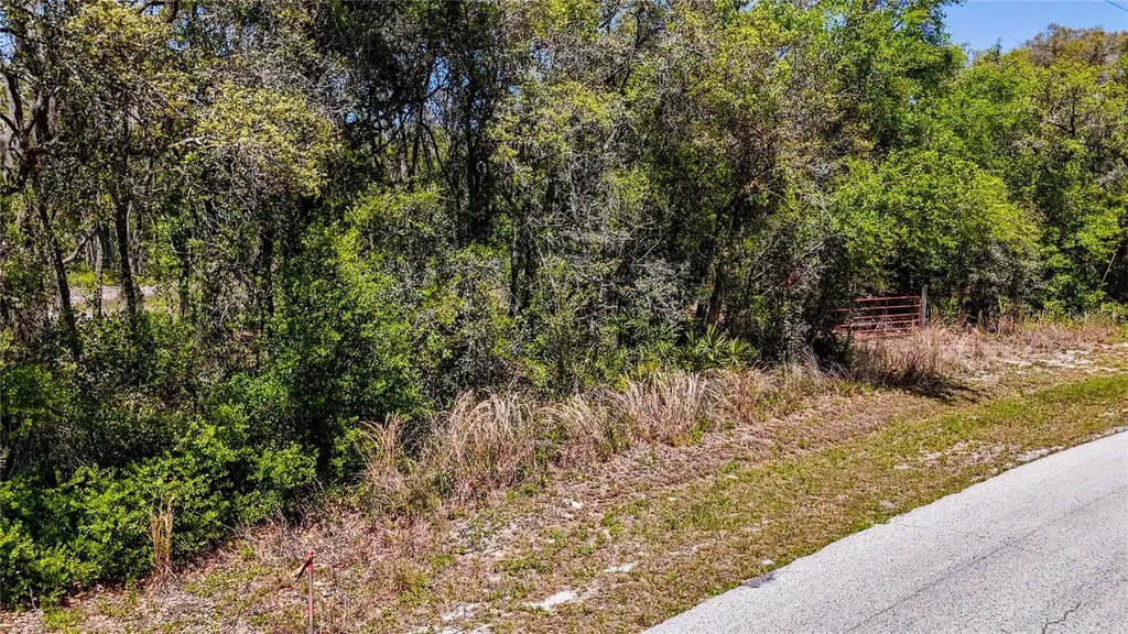 34281 Umbrella Rock Drive Webster FL 33597