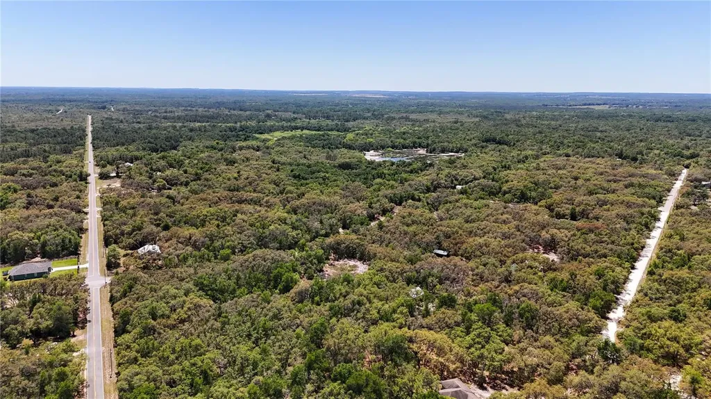 34281 Umbrella Rock Drive Webster FL 33597