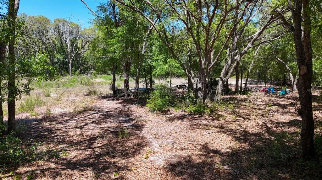 34281 Umbrella Rock Drive Webster FL 33597
