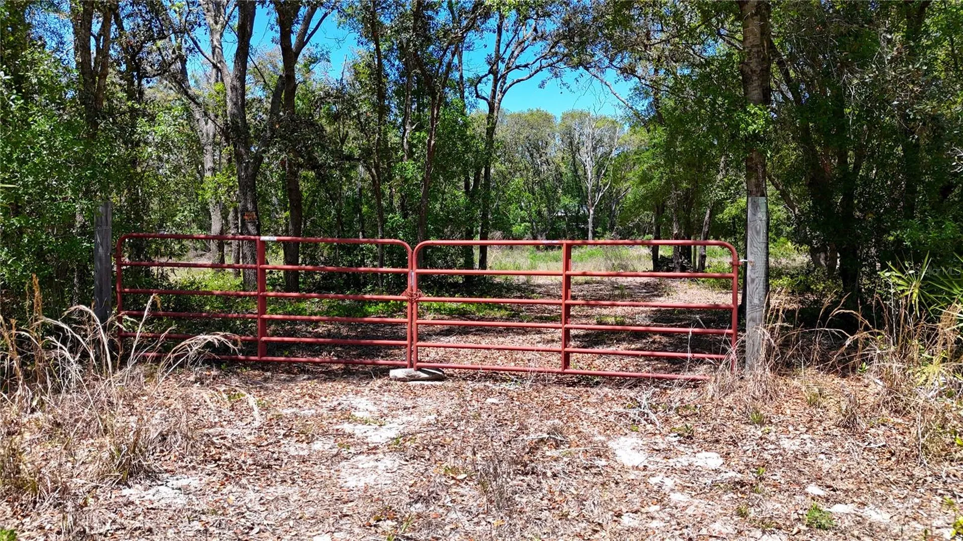 34281 Umbrella Rock Drive Webster FL 33597