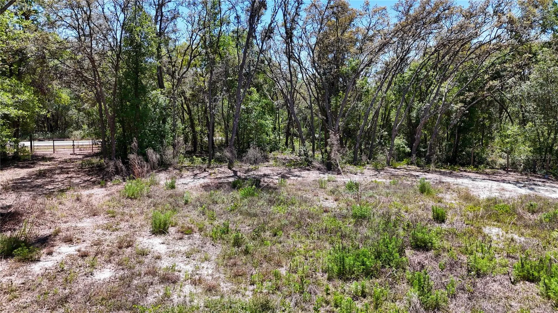 34281 Umbrella Rock Drive Webster FL 33597
