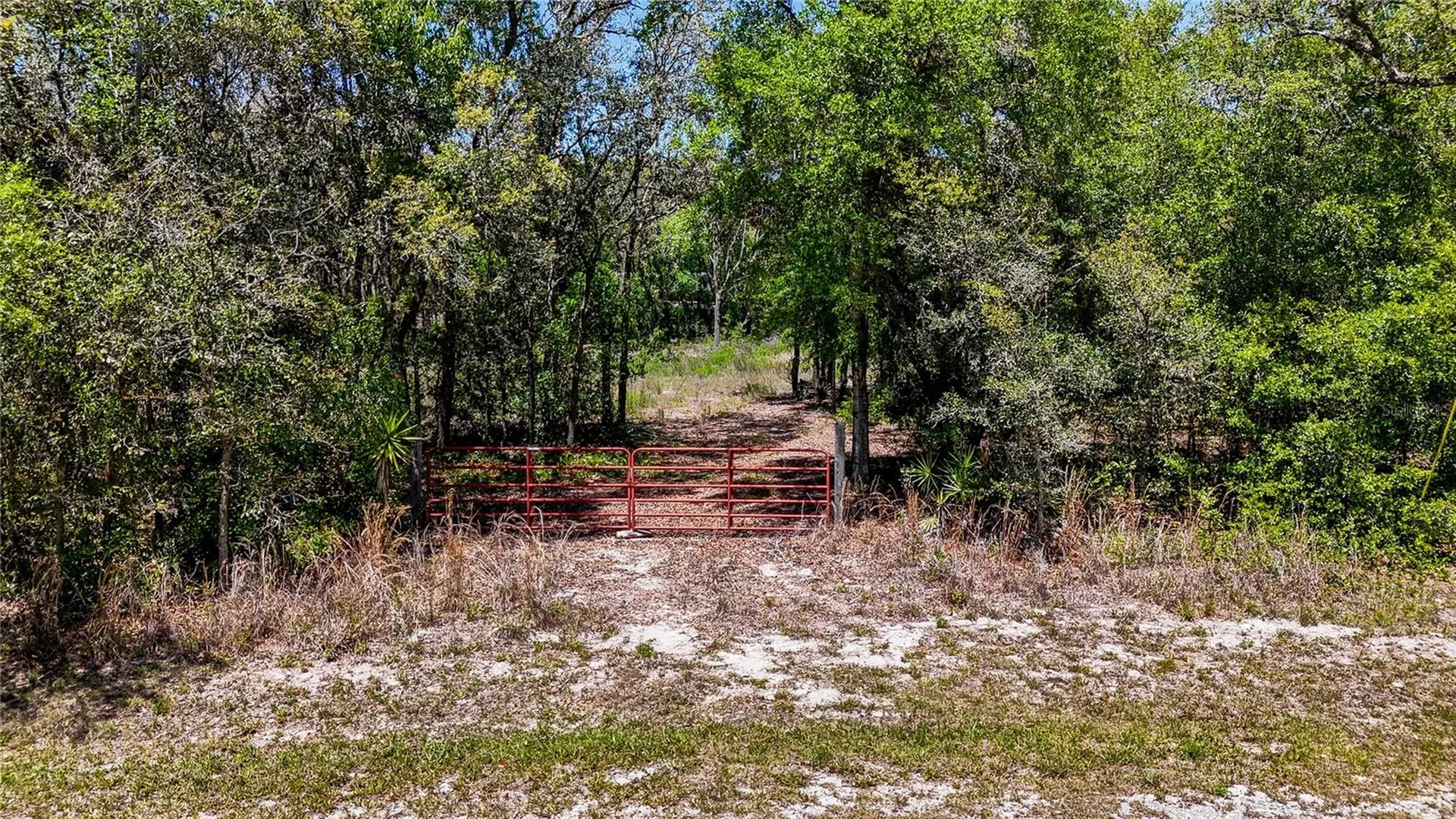 34281 Umbrella Rock Drive Webster FL 33597