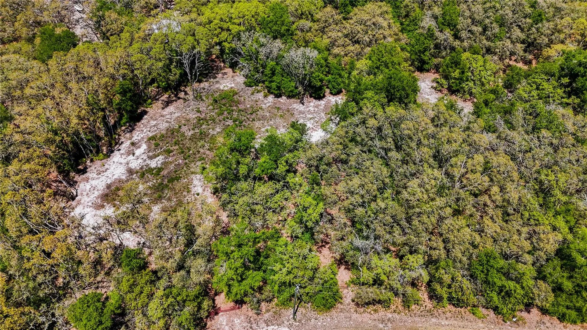 34281 Umbrella Rock Drive Webster FL 33597