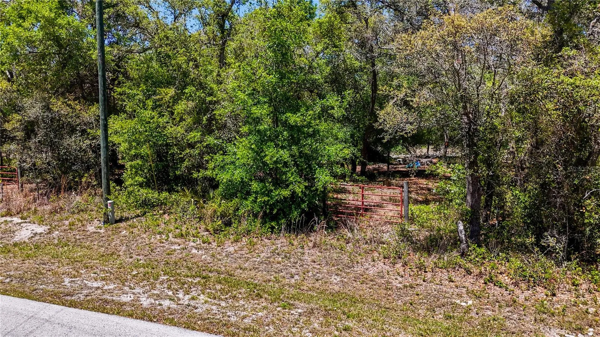 34281 Umbrella Rock Drive Webster FL 33597