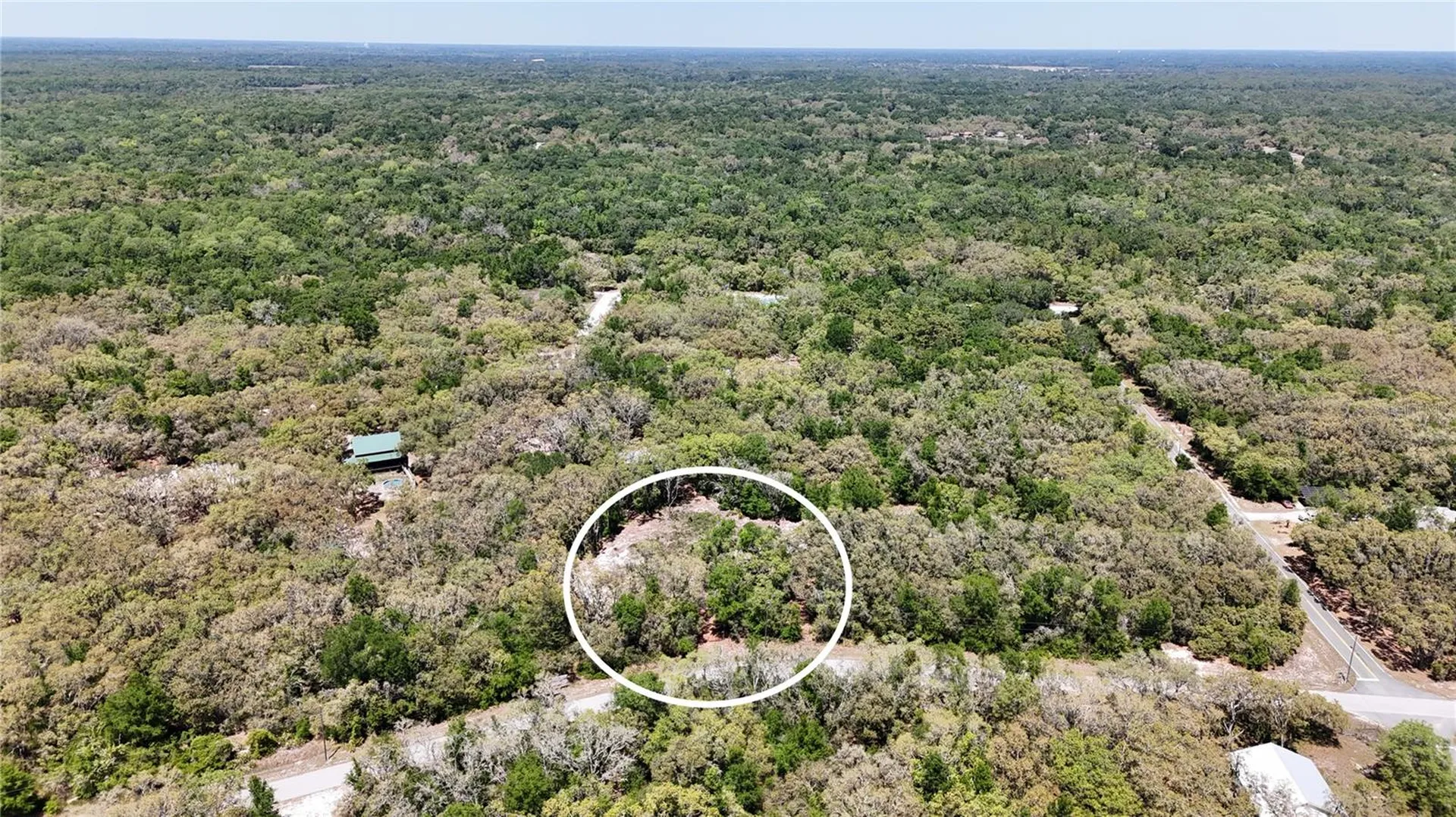 34281 Umbrella Rock Drive Webster FL 33597