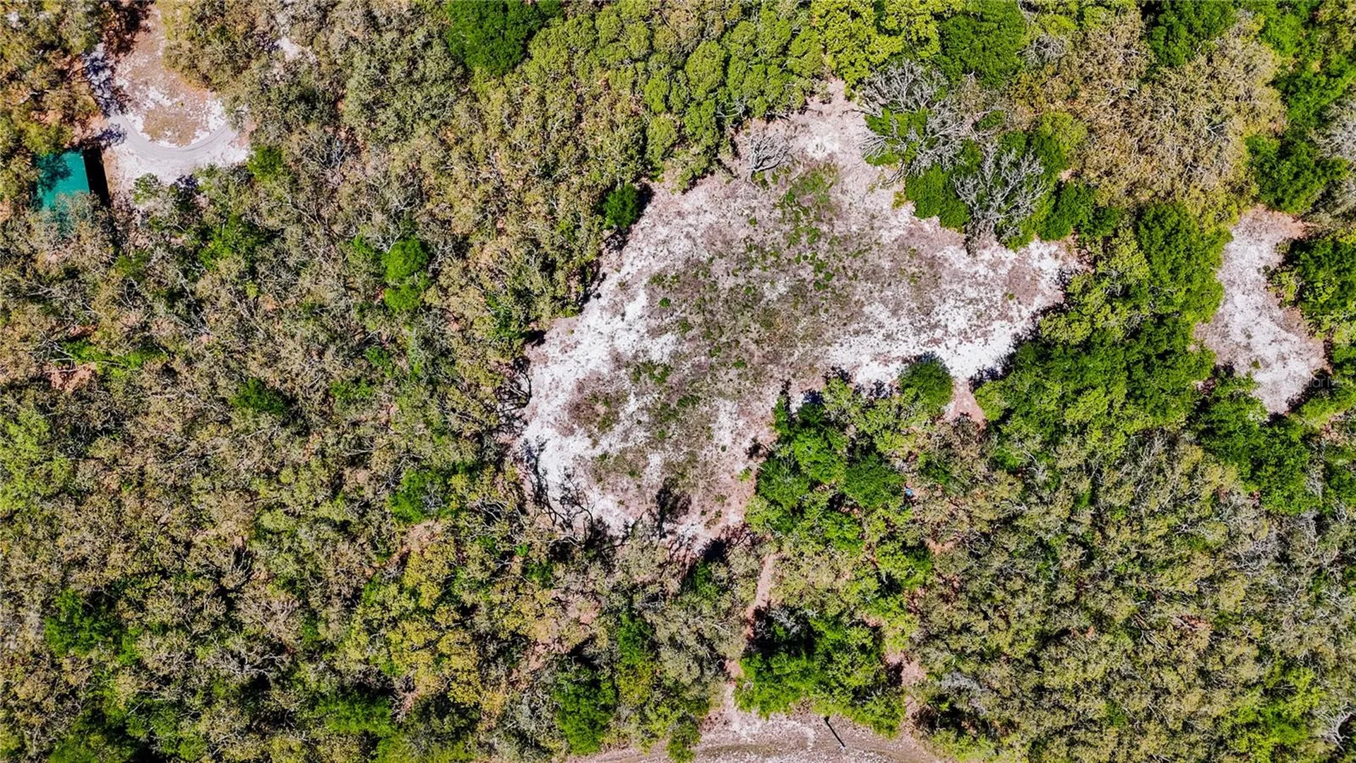 34281 Umbrella Rock Drive Webster FL 33597