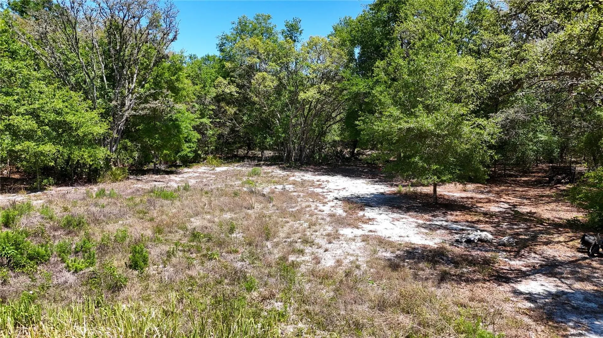 34281 Umbrella Rock Drive Webster FL 33597