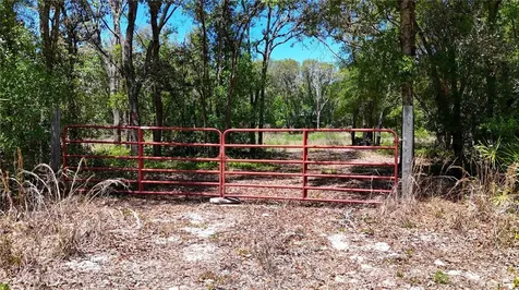 34281 Umbrella Rock Drive Webster FL 33597