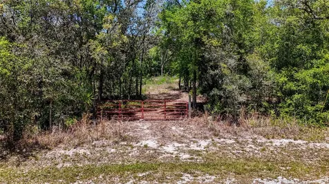 34281 Umbrella Rock Drive Webster FL 33597