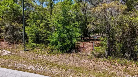 34281 Umbrella Rock Drive Webster FL 33597