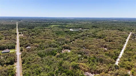 34281 Umbrella Rock Drive Webster FL 33597