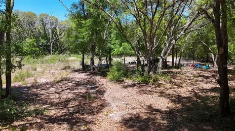34281 Umbrella Rock Drive Webster FL 33597