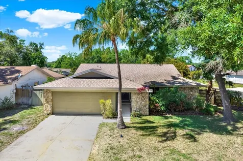 4101 Hollowtrail Drive Tampa FL 33624