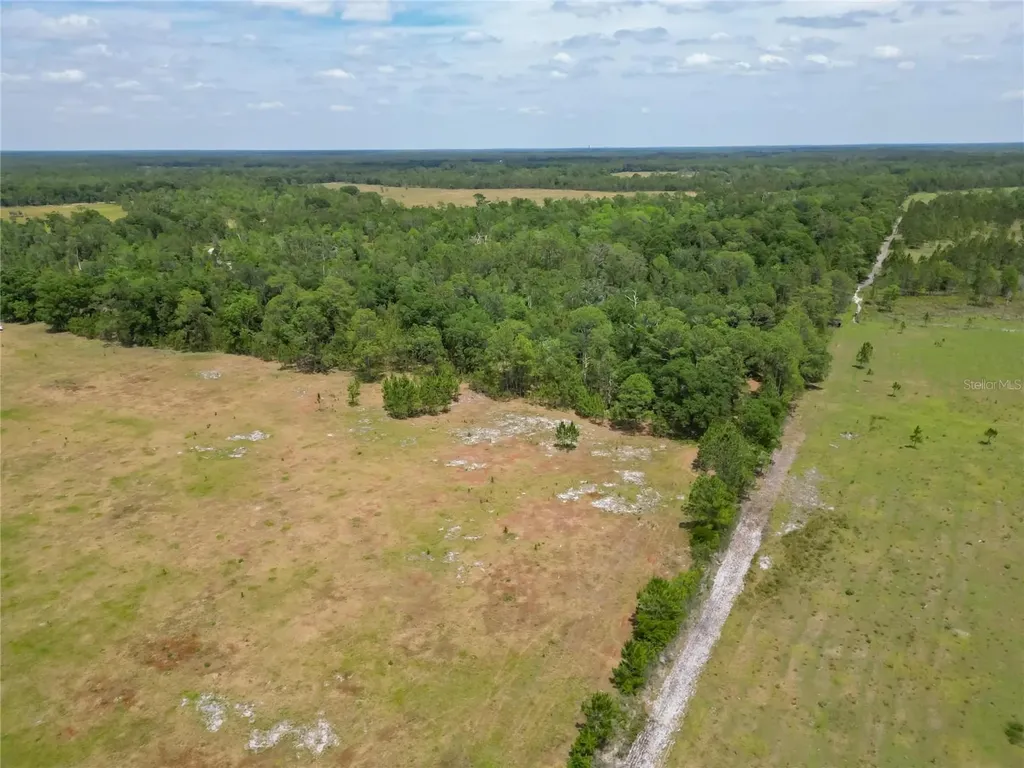 Van Fleet Road Polk City FL 33868