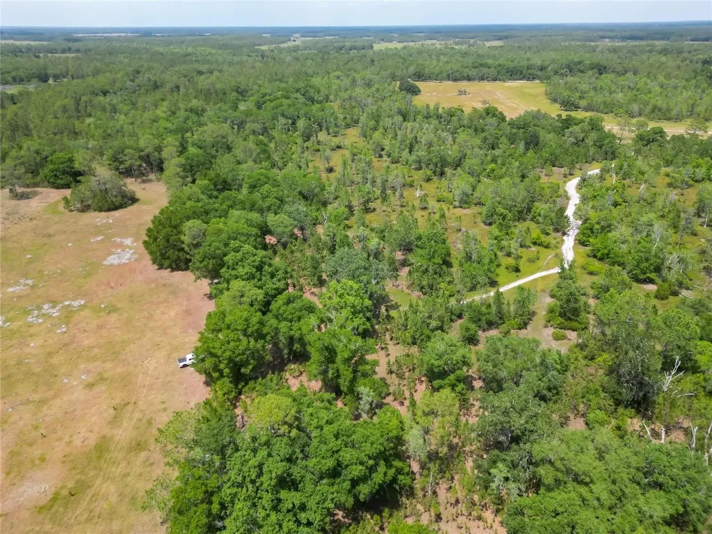 Van Fleet Road Polk City FL 33868