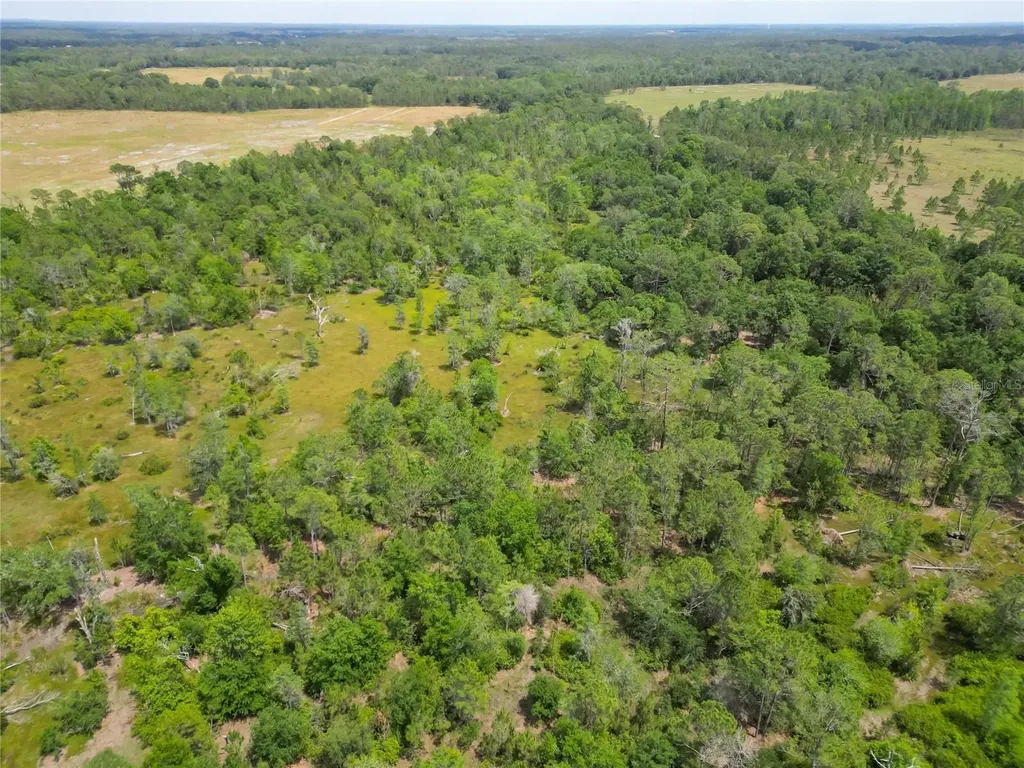 Van Fleet Road Polk City FL 33868