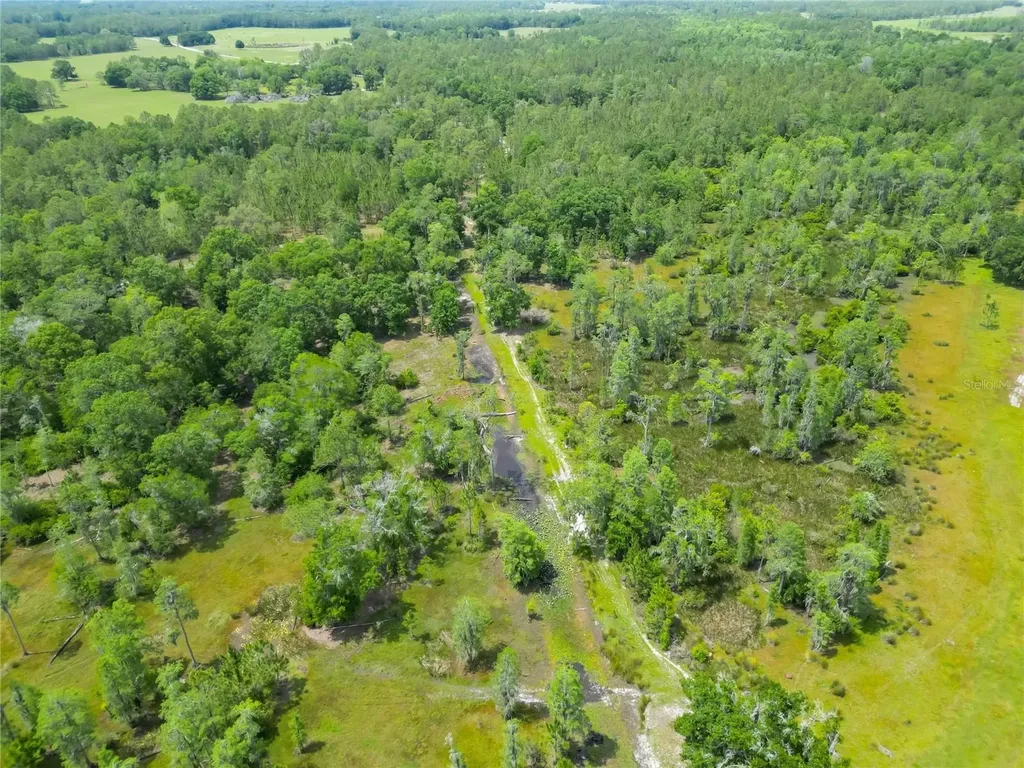 Van Fleet Road Polk City FL 33868