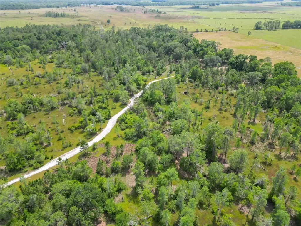 Van Fleet Road Polk City FL 33868