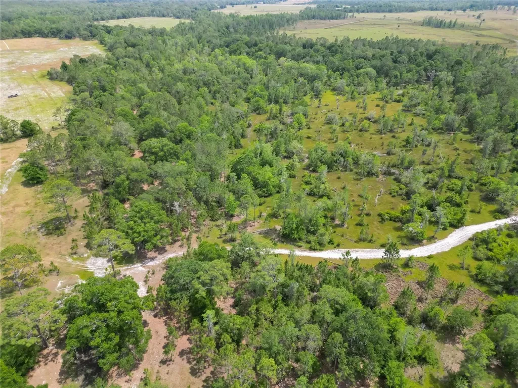 Van Fleet Road Polk City FL 33868