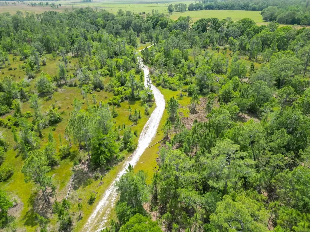 Van Fleet Road Polk City FL 33868
