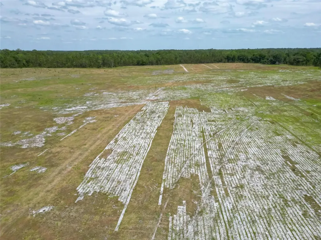 Van Fleet Road Polk City FL 33868