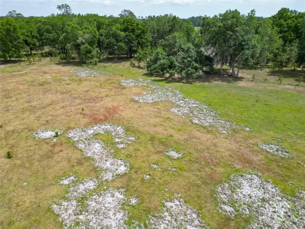 Van Fleet Road Polk City FL 33868