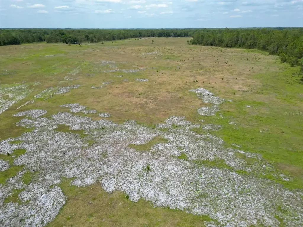 Van Fleet Road Polk City FL 33868