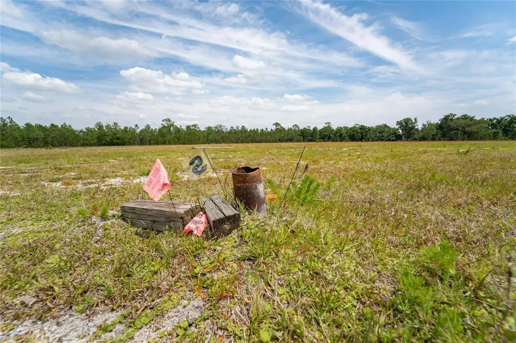 Van Fleet Road Polk City FL 33868